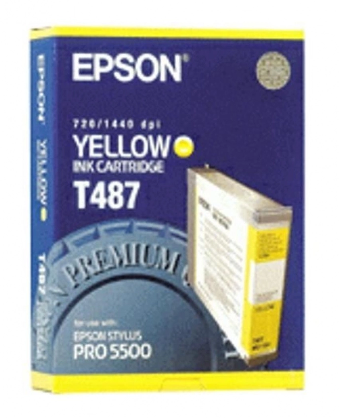 Tusz Epson T487