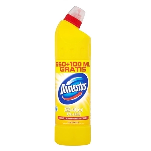 Płyn Czyszcząco-Dezynfekujący 24H Plus Plus Domestos 750 Ml