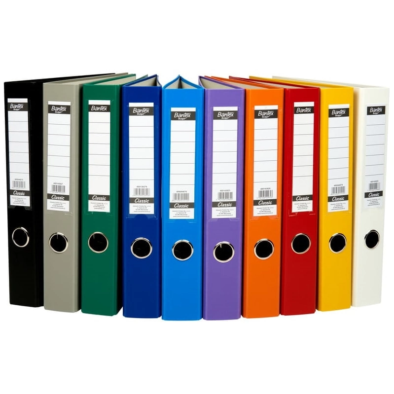 Segregator Bantex Budget Classic A4/50 mm